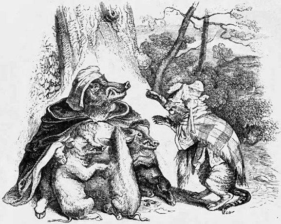 Fable L'aigle La Laie et La Chatte